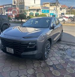 جیتۆر داشينگ